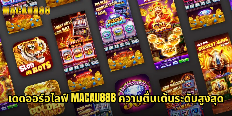 เดดออร์อไลฟ์ MACAU888 ความตื่นเต้นระดับสูงสุด