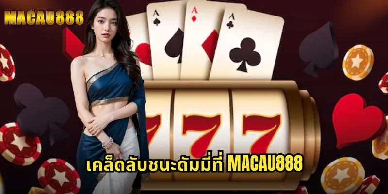 เคล็ดลับชนะดัมมี่ที่ MACAU888