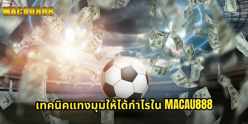 เทคนิคแทงมุมให้ได้กำไรใน MACAU888